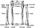 2014年1月18日 (六) 09:16的版本的缩略图