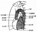 2014年1月18日 (六) 13:26的版本的缩略图