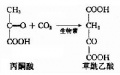 2014年1月17日 (五) 07:19的版本的缩略图