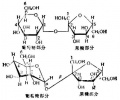 2014年1月19日 (日) 05:03的版本的缩略图
