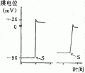 2014年1月17日 (五) 19:09的版本的缩略图