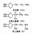 2014年1月18日 (六) 13:46的版本的缩略图