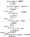 2014年1月18日 (六) 22:48的版本的缩略图