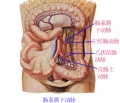2014年1月18日 (六) 08:53的版本的缩略图