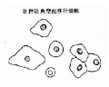 2014年1月18日 (六) 11:31的版本的缩略图