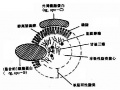 2014年1月18日 (六) 09:49的版本的缩略图