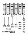 2014年1月18日 (六) 14:24的版本的缩略图