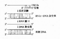 2014年1月18日 (六) 13:21的版本的缩略图