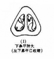 2014年1月18日 (六) 10:16的版本的缩略图