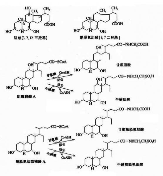 文件:Gra9tdrt.jpg