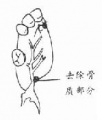2014年1月18日 (六) 12:28的版本的缩略图