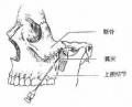 2014年1月18日 (六) 10:57的版本的缩略图
