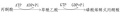 2014年1月18日 (六) 13:08的版本的缩略图