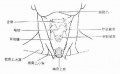 2014年1月18日 (六) 18:03的版本的缩略图