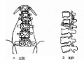 2014年1月18日 (六) 09:03的版本的缩略图