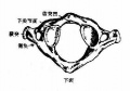 2014年1月18日 (六) 09:41的版本的缩略图