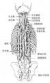 2014年1月18日 (六) 17:58的版本的缩略图