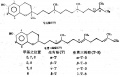2014年1月18日 (六) 20:04的版本的缩略图