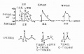 2014年1月18日 (六) 11:36的版本的缩略图