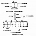 2014年1月18日 (六) 12:17的版本的缩略图