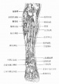 2014年1月18日 (六) 09:44的版本的缩略图