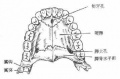 2014年1月18日 (六) 14:57的版本的缩略图