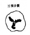 2014年1月18日 (六) 18:23的版本的缩略图