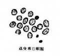 2014年1月18日 (六) 17:39的版本的缩略图