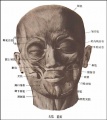 2014年1月18日 (六) 18:08的版本的缩略图
