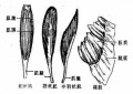 2014年1月18日 (六) 10:43的版本的缩略图