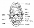 2014年1月18日 (六) 07:51的版本的缩略图