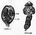 2014年1月18日 (六) 10:13的版本的缩略图