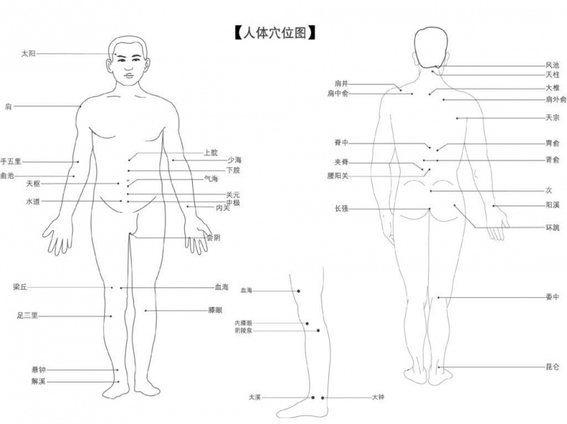 文件:Xue basic.jpg