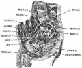 2014年1月18日 (六) 10:24的版本的缩略图