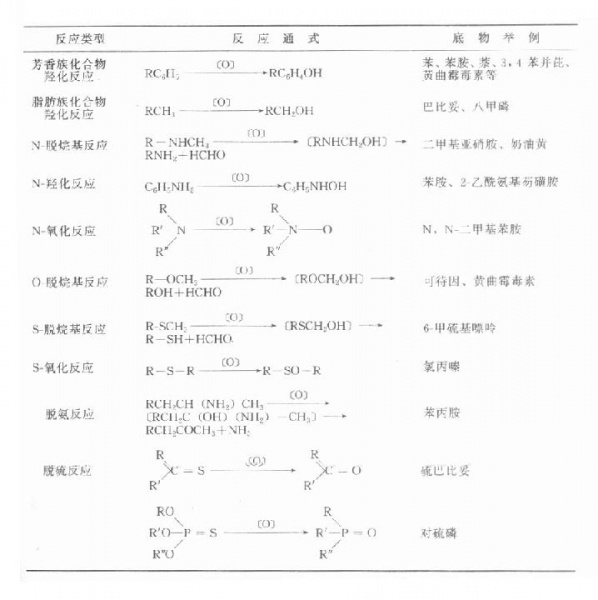 文件:Gopn6ol2.jpg