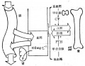 2014年1月18日 (六) 17:36的版本的缩略图