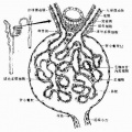 2014年1月18日 (六) 17:27的版本的缩略图
