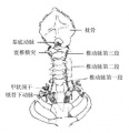 2014年1月19日 (日) 00:29的版本的缩略图