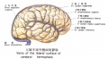 2014年1月18日 (六) 14:59的版本的缩略图