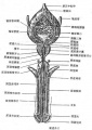 2014年1月18日 (六) 13:17的版本的缩略图
