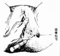 2014年1月18日 (六) 17:03的版本的缩略图