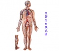 2014年1月18日 (六) 17:08的版本的缩略图