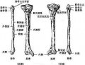 2014年1月18日 (六) 17:02的版本的缩略图
