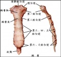 2014年1月18日 (六) 10:29的版本的缩略图