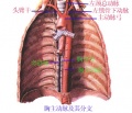 2014年1月18日 (六) 09:21的版本的缩略图