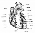 2014年1月18日 (六) 12:04的版本的缩略图