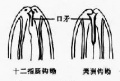 2014年1月18日 (六) 17:59的版本的缩略图