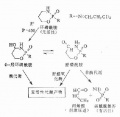 2014年1月18日 (六) 10:19的版本的缩略图
