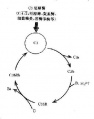 2014年1月18日 (六) 12:04的版本的缩略图