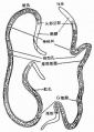 2014年1月18日 (六) 09:50的版本的缩略图